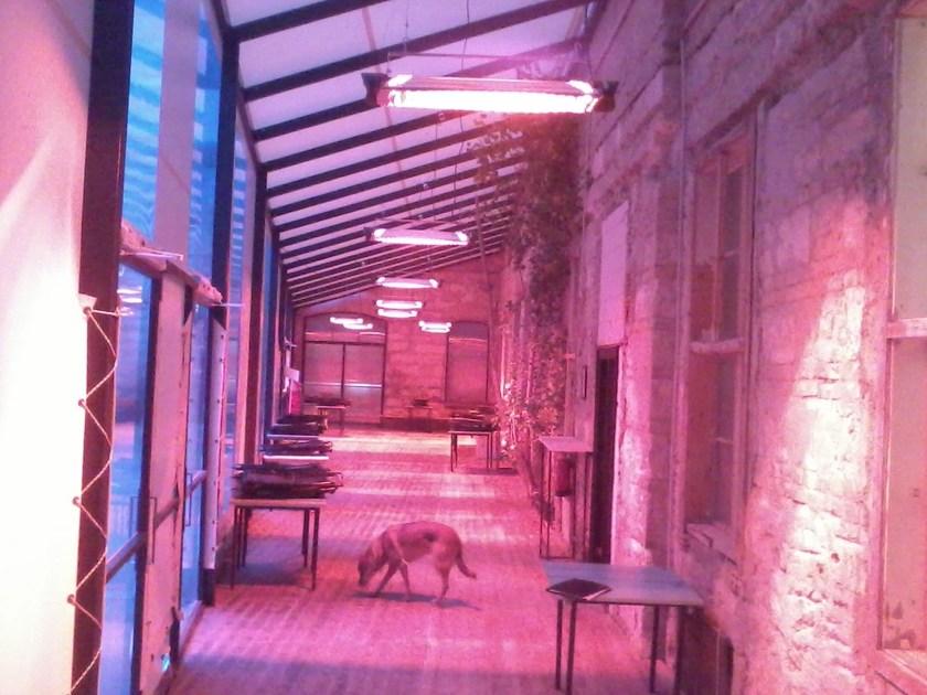 Mo-el Инфракрасный уличный обогреватель sun-id-1394822 - Вид №30