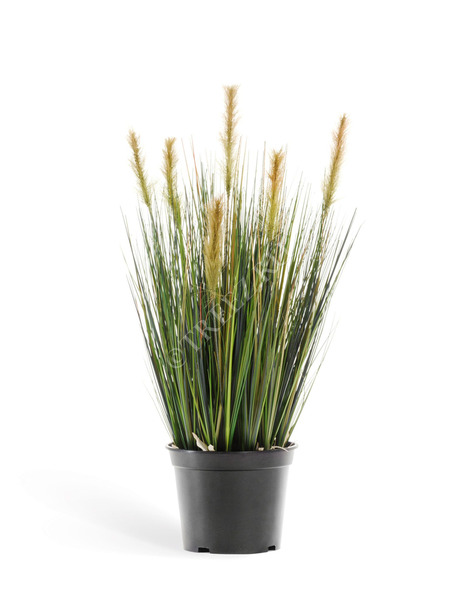 20.1040S Трава Осока куст с зелёными султанами Цветочная коллекция 