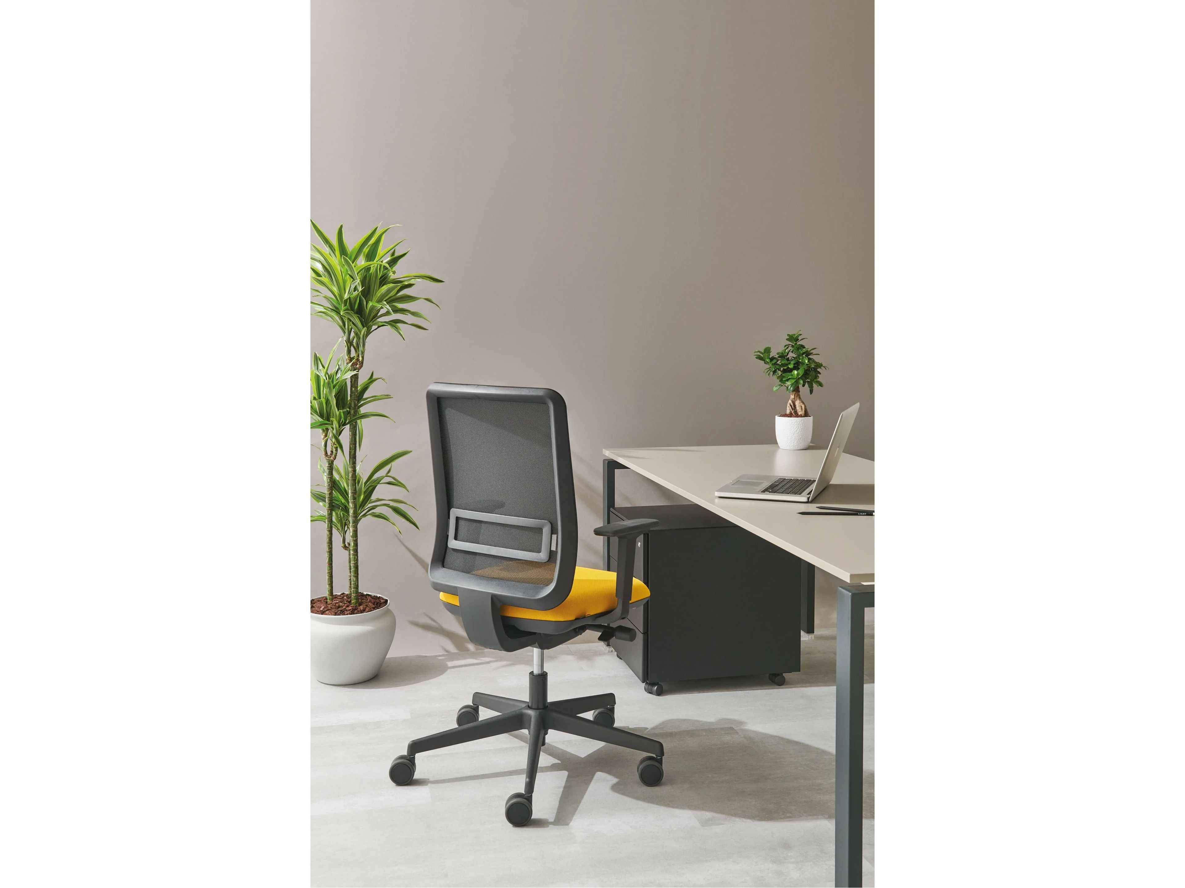 5-спицевое вращающееся офисное кресло с регулируемой высотой AP Factor Виктория ARCH-00016670 - Вид №1