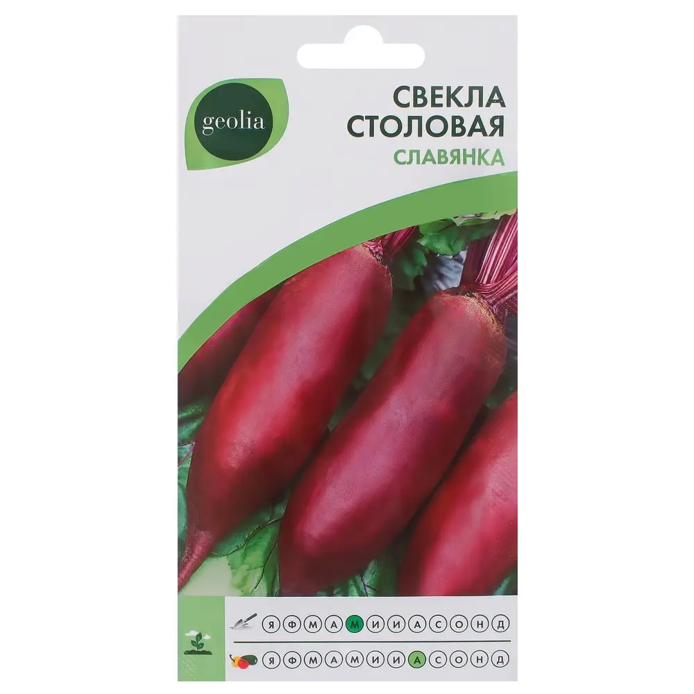 Семена свеклы GEOLIA Славянка — сладкий цилиндрический сорт 17585033 STLM-0008344