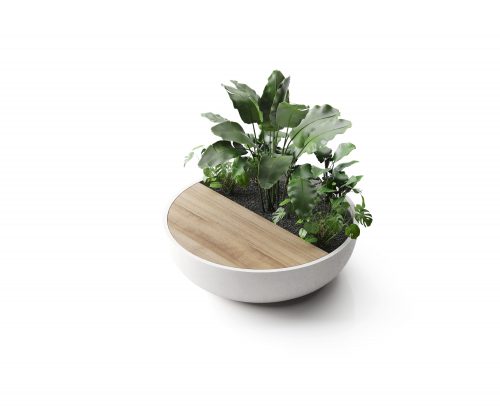 Fifty Details Lab23 Плантаторы 