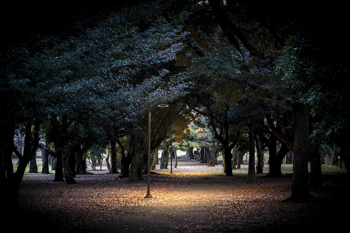 FSRT247 Aptos пешеходный  Forms-surfaces  - Вид №5