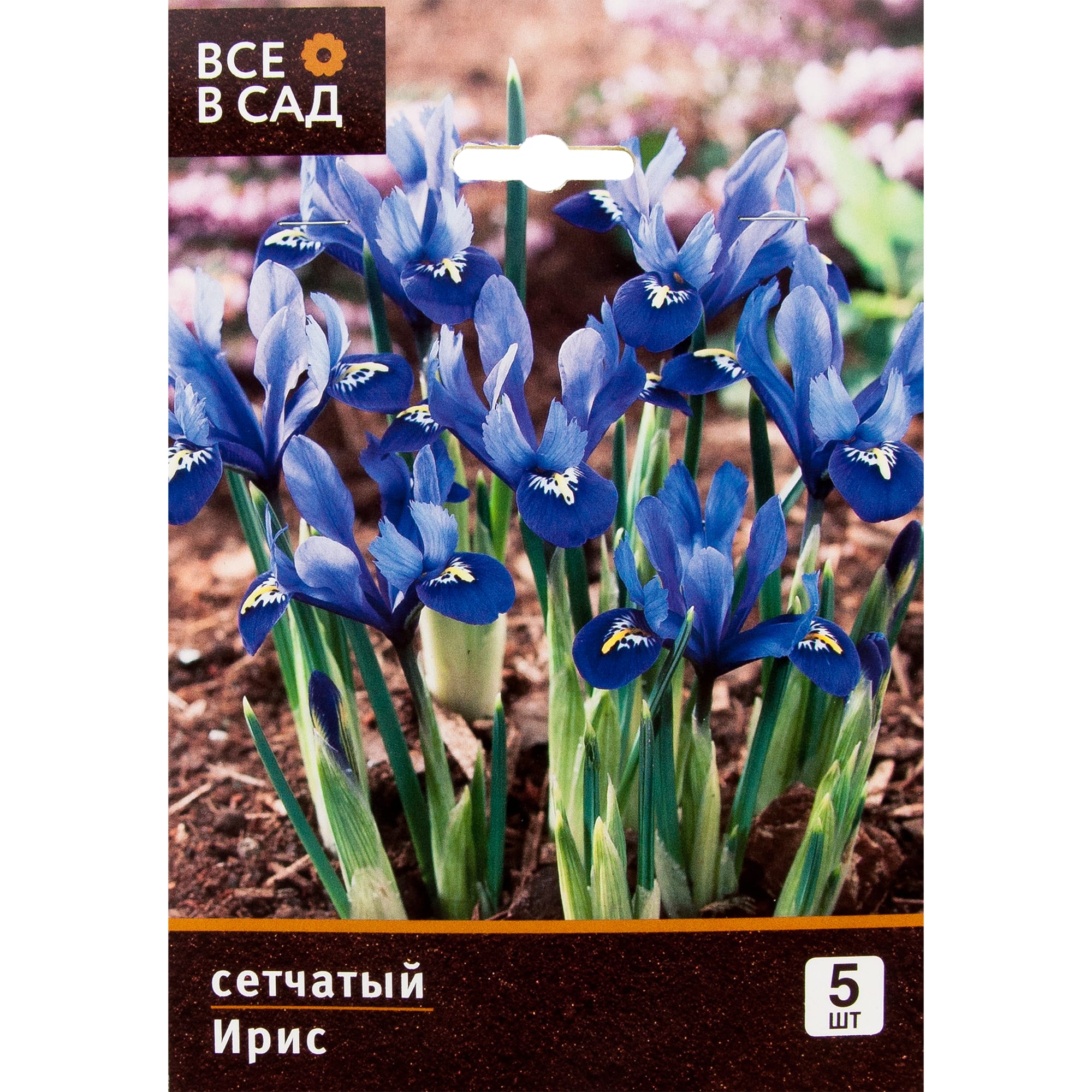 17977272 Ирис сетчатый Santreyd 