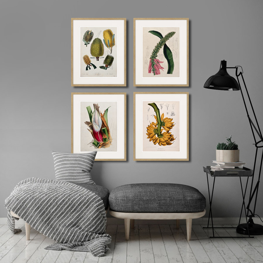 Картина в раме 52х42 см Exotic plants of the world №9, 1815г. КАРТИНЫ В КВАРТИРУ  264352 Желтый;зеленый;разноцветный  - Вид №2