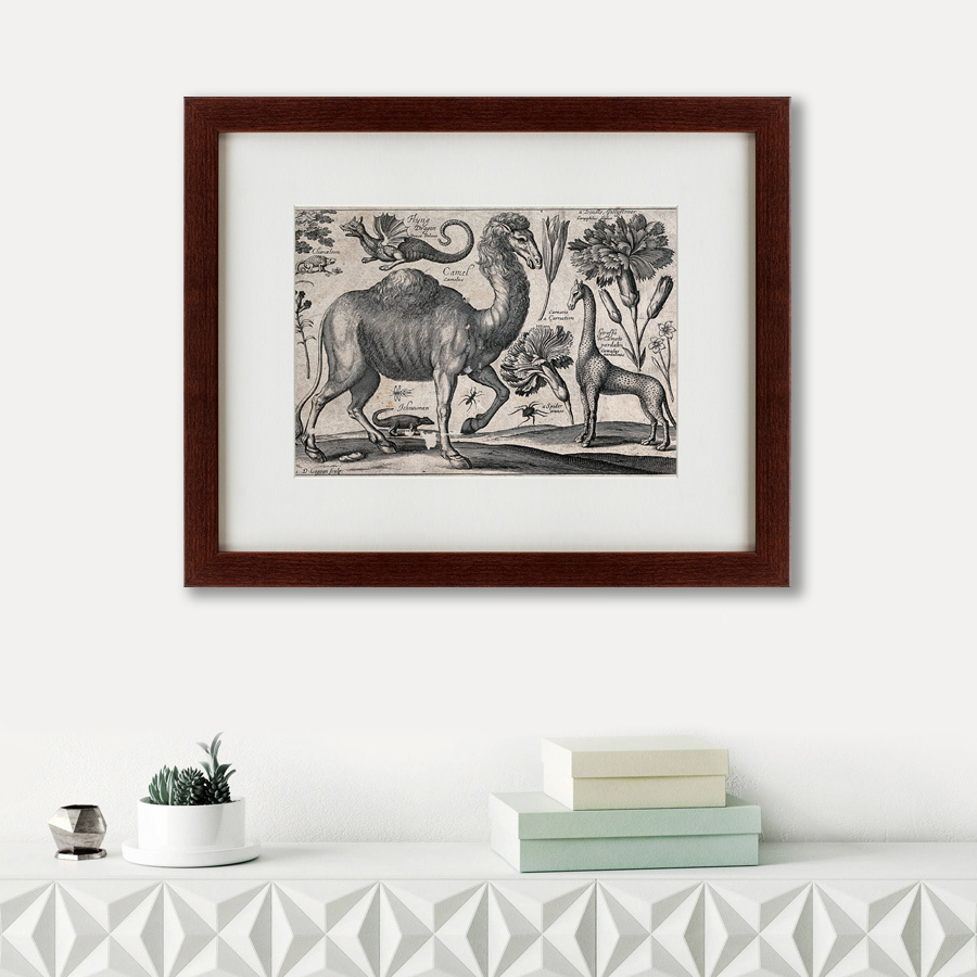 Литография на тонированной бумаге 42х52 см A camel, 1670 КАРТИНЫ В КВАРТИРУ  135679 Бежевый;белый;черный;разноцветный  - Вид №1