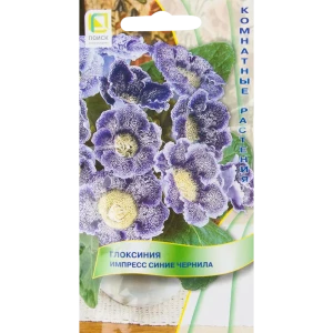 Глоксиния Импресс «Синие чернила» 82424753 STLM-2134128