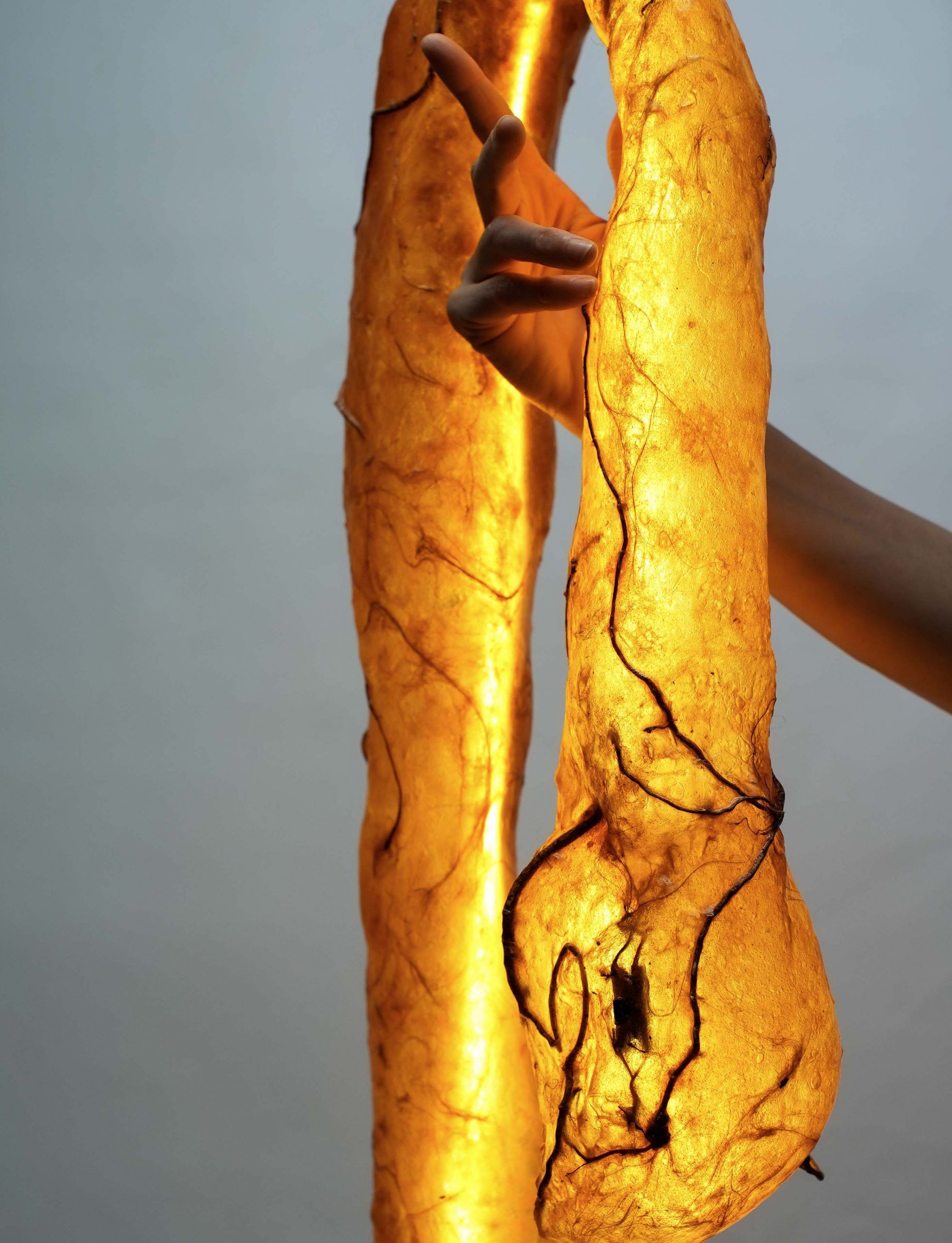 Яркая скульптура LO Contemporary THE WORM ARCH-00072125 - Вид №2