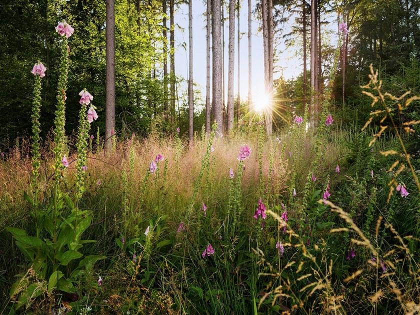 Komar Флизелиновые обои с пейзажами Home X7-1005 - Вид №1