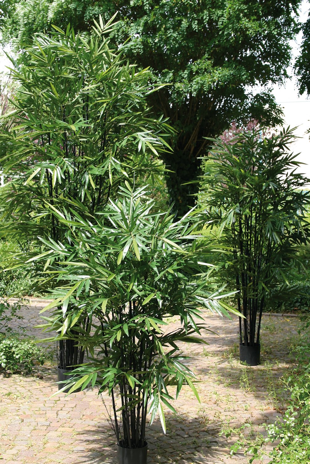 5695 883 a3 Бамбук искусственный, в горшке, 280 см, зеленый H-andreas  - Вид №1