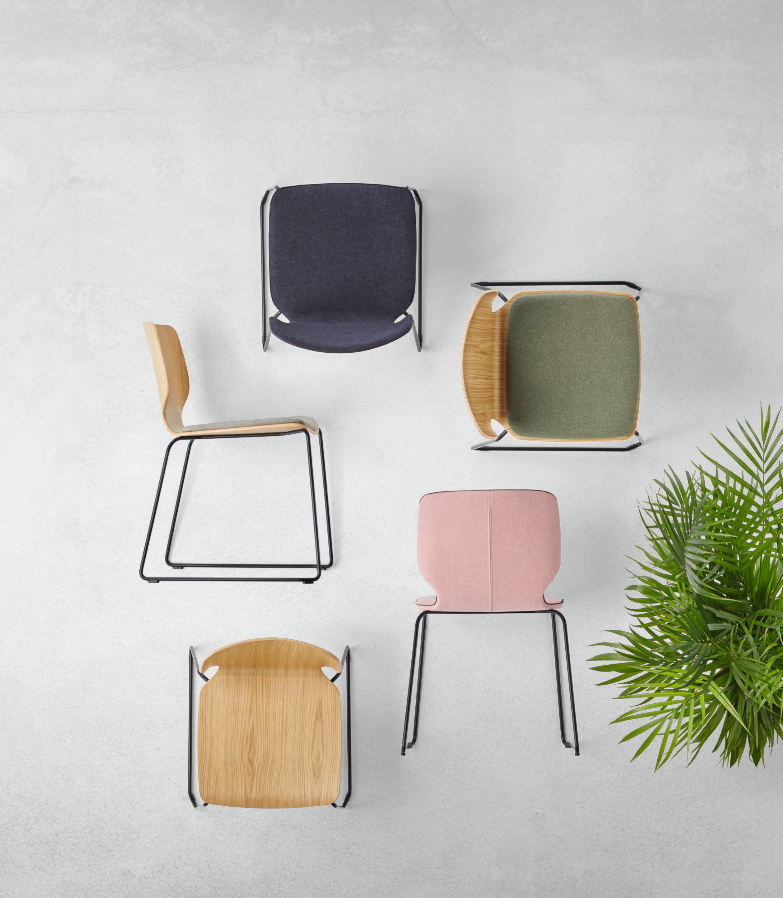 Штабелируемый стул из шпона с мягким сиденьем INCLASS Nim ARCH-00072143 - Вид №2