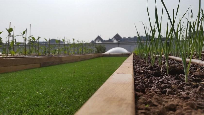 Roofingreen Поднятый наружный модуль с теплоизоляцией sun-id-1481746 - Вид №7