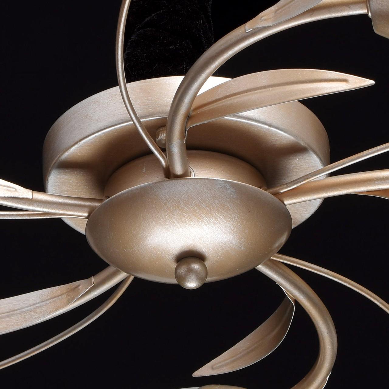 Потолочная люстра MW-Light Восторг 19 242016205 MW-LIGHT ВОСТОРГ 183120 Белый  - Вид №2