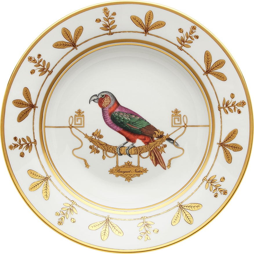 10647861 Richard Ginori Тарелка суповая 24.5 см  Volie're Perroquet Nestor Фарфор 