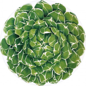 10640799 Taitu Тарелка подставновочная  Taitu "Кактусы" 31см Фарфор костяной