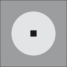 MiniTondo D 800 Ghidini Tondo Dark .05 Темно-Cерый (Матовый)  - Вид №2