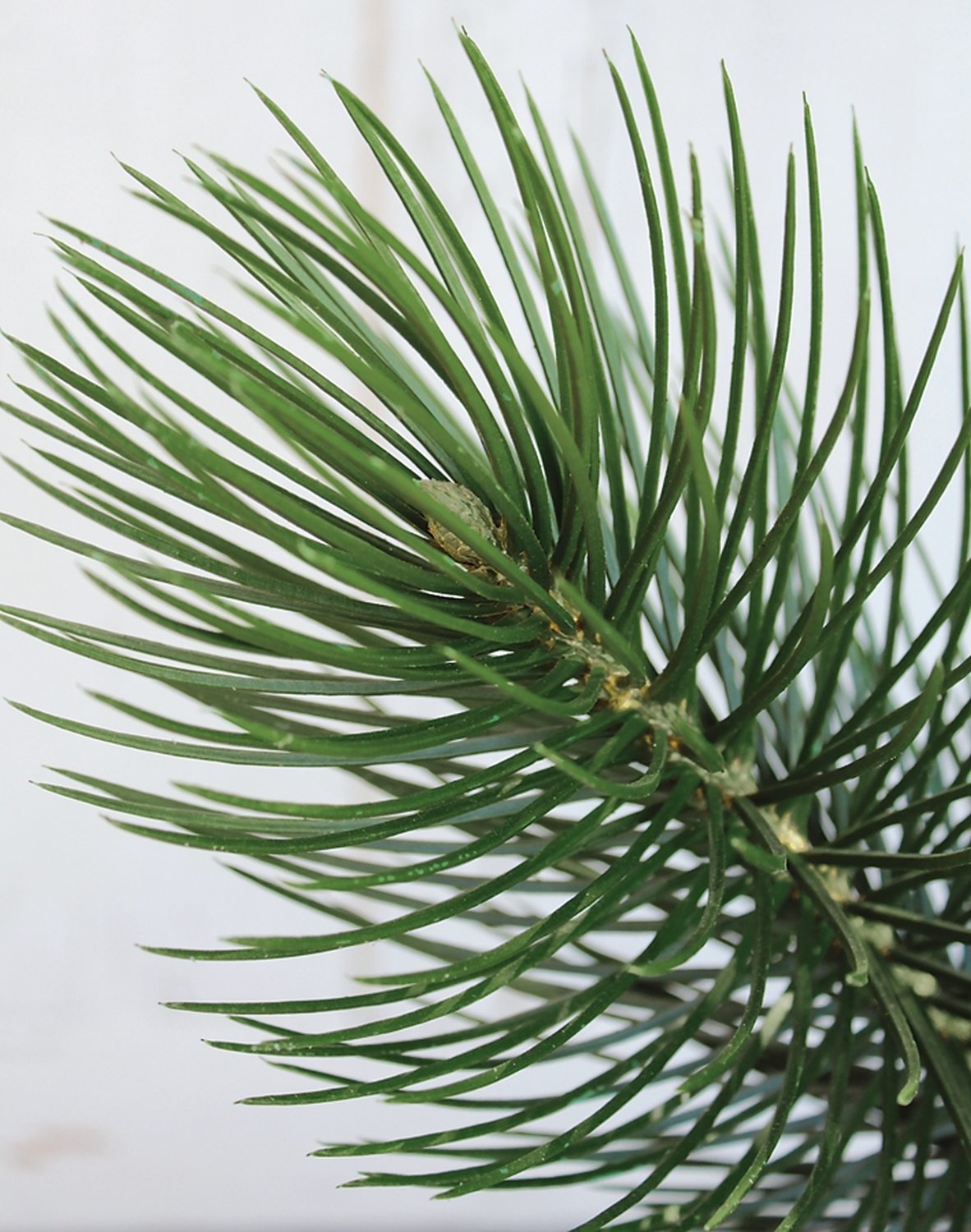 1886 883 a3 Ветка декоративная искусственная, 107 см, зеленая H-andreas  - Вид №1