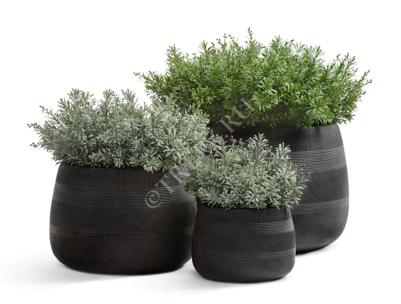 41.1020-0044-BLW-42 Кашпо  ERGO - серия Graphics - Низкая чаша - Чёрный графит Цветочная коллекция  - Вид №2