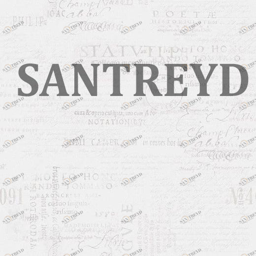 SANIT 200504 Седло-Т-образный 90 °, РР, SDR 11, уменьшается Northern Feelings