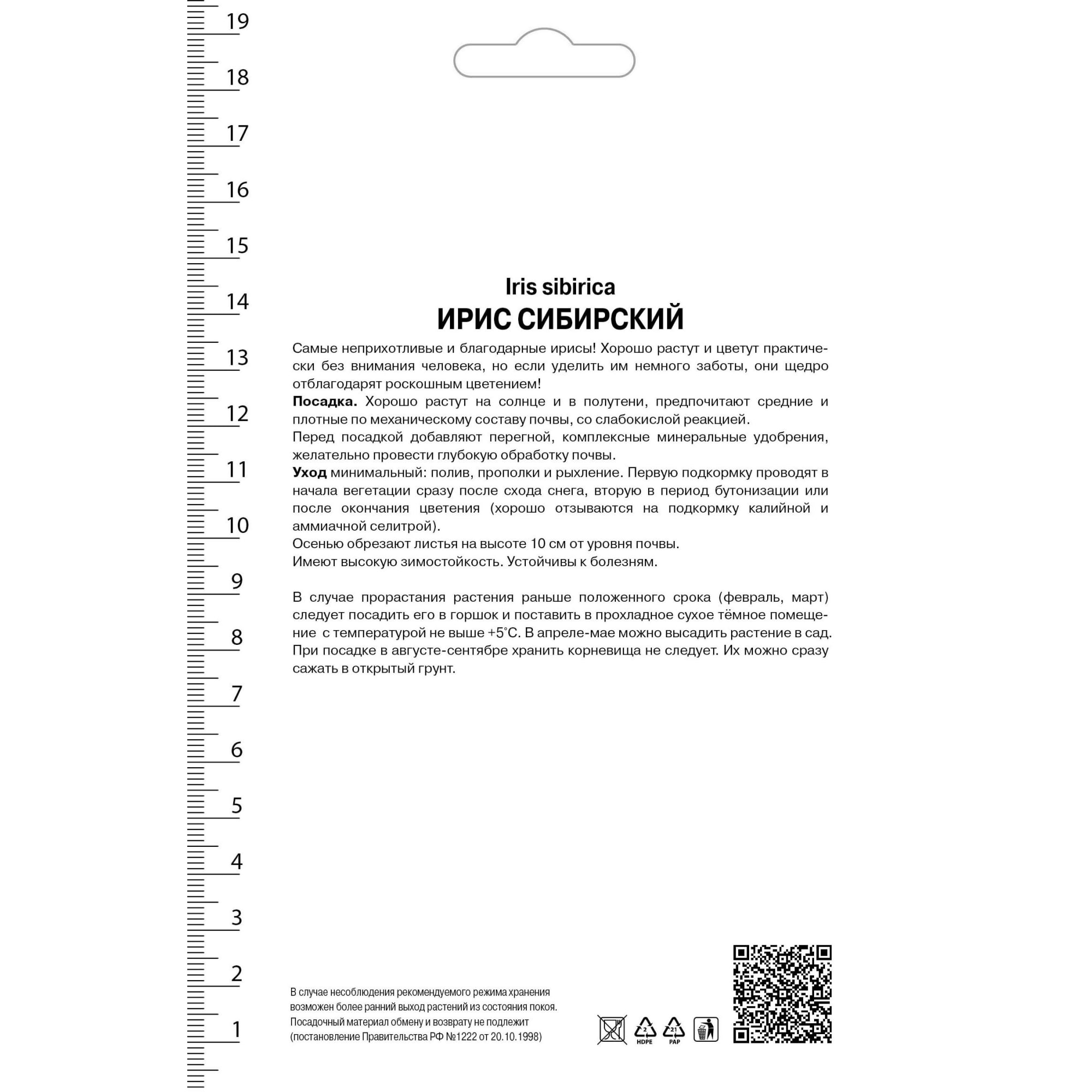 82530214 Ирис сибирский «Хэвинг Фан» Santreyd  - Вид №1