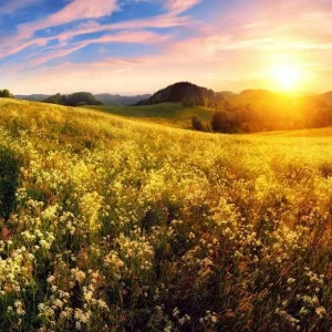 WP00331 Фотообои Verol Фотообои decoline 1х1 м