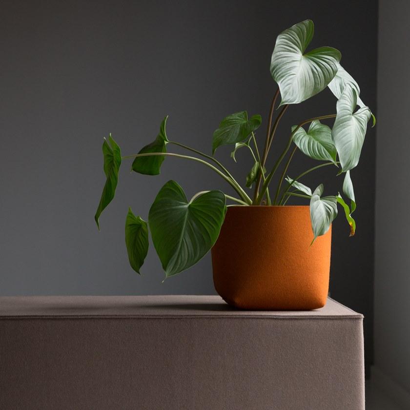 HEY-SIGN Контейнер из шерстяного войлока sun-id-1426203 - Вид №4