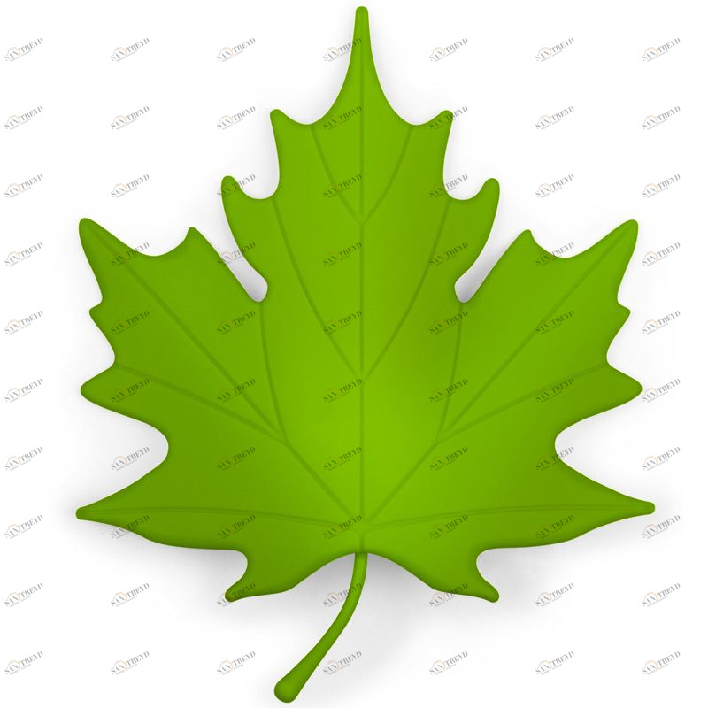 Подпорка для двери Autumn зеленая Qualy QL10072GN