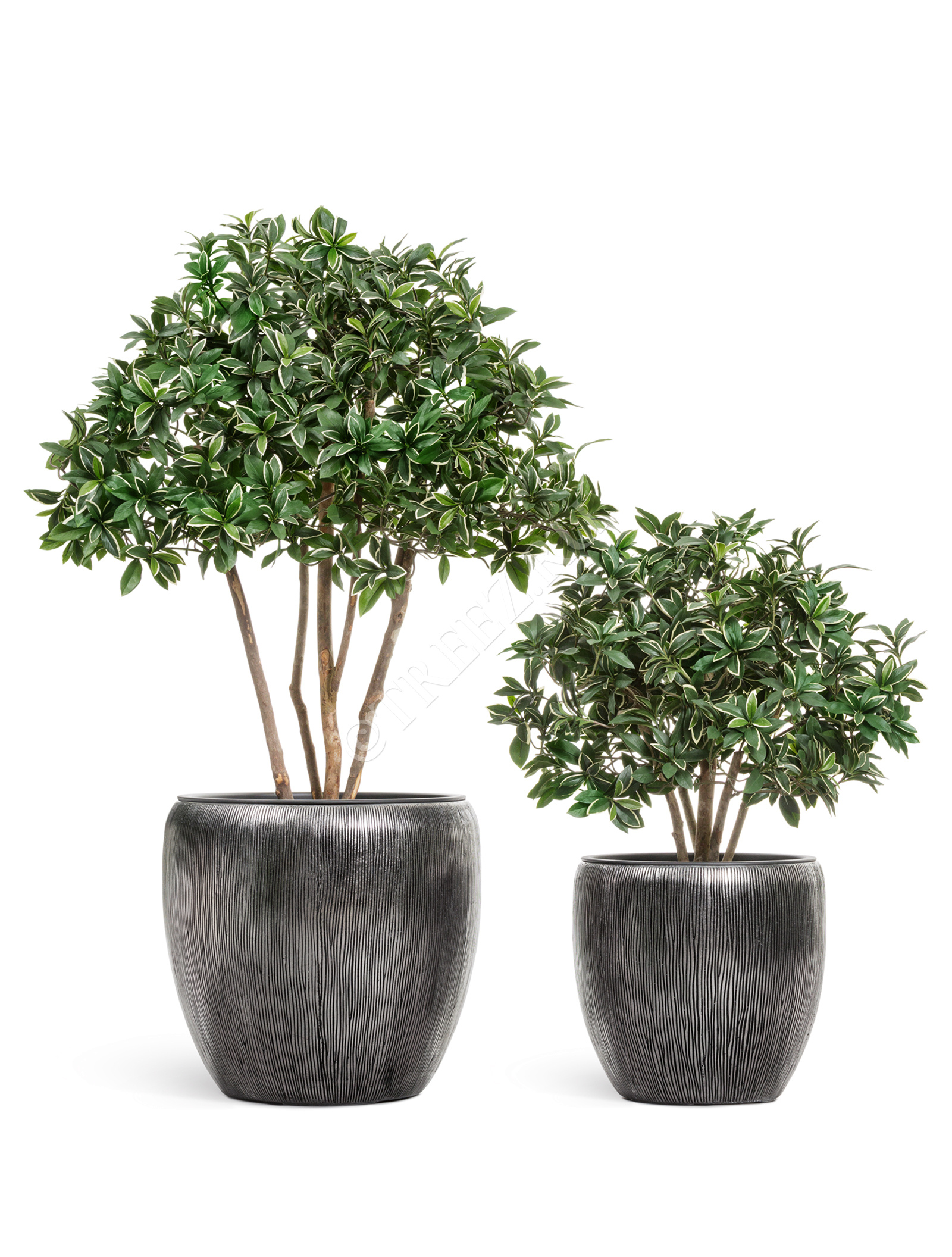 41.3320-06-044-DSL-30 Кашпо  Effectory - серия Wow - Конус-Чаша - Стальное серебро Цветочная коллекция  - Вид №4