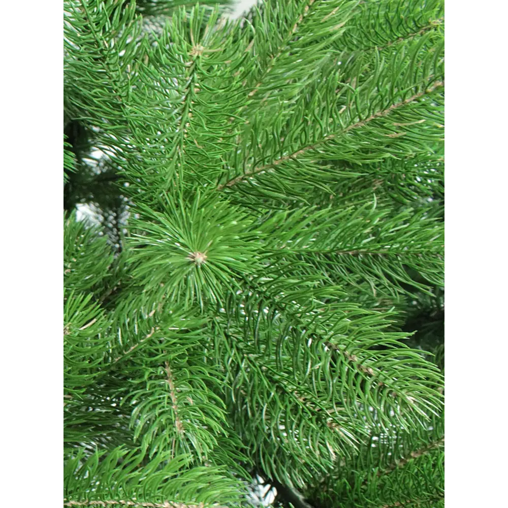 Ель новогодняя искусственная Глория 600 см BEATREES STLM-2011961 - Вид №1