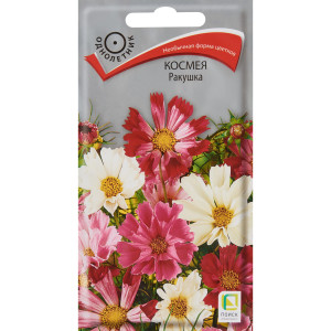 Космея Ракушка семена цветов ПОИСК - однолетнее растение для сада 83577572
