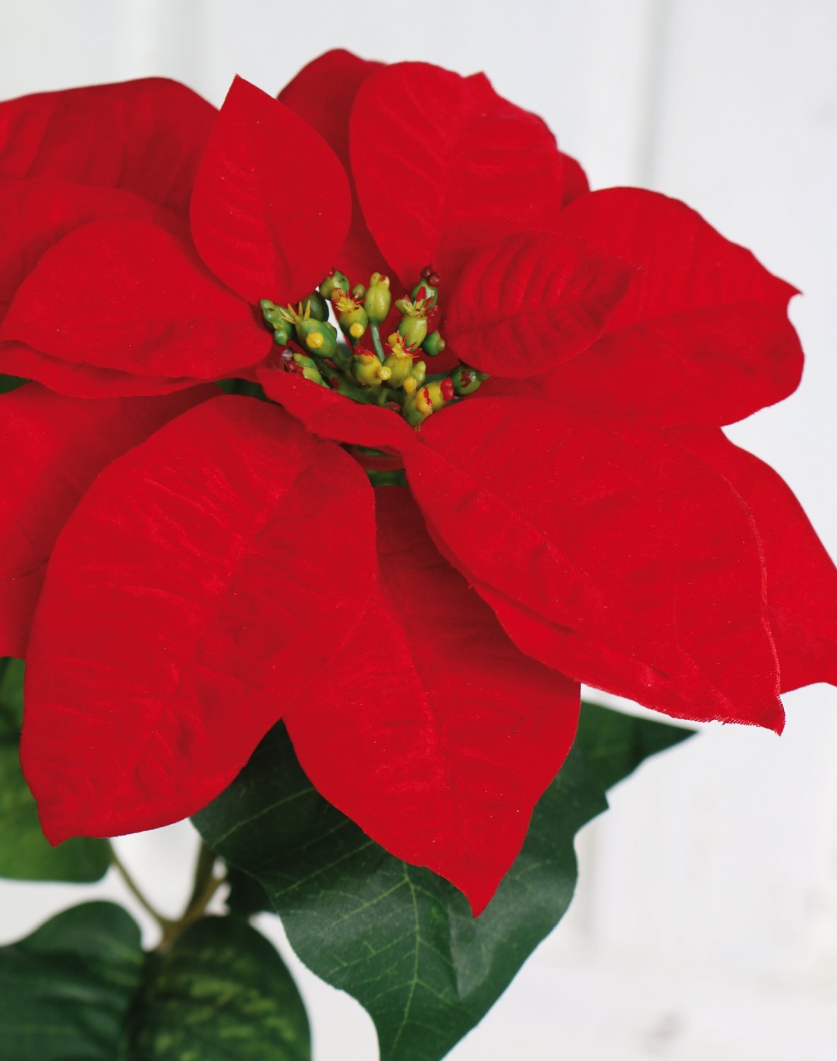 1896 444 a3 Искусственная пуансеттия, 70 см, Ø 21 см, красная H-andreas  - Вид №3