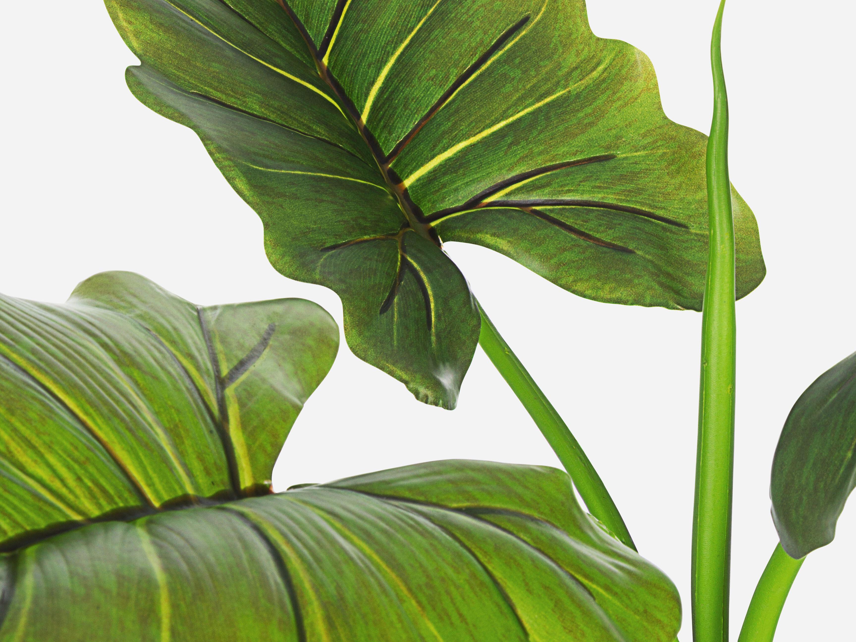 Искусственное растение BIZZOTTO DIEFFENBACHIA ARCH-00102313 - Вид №1