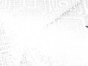 Equipo DRT Обивочная ткань из полиэстера Bukhara 21542