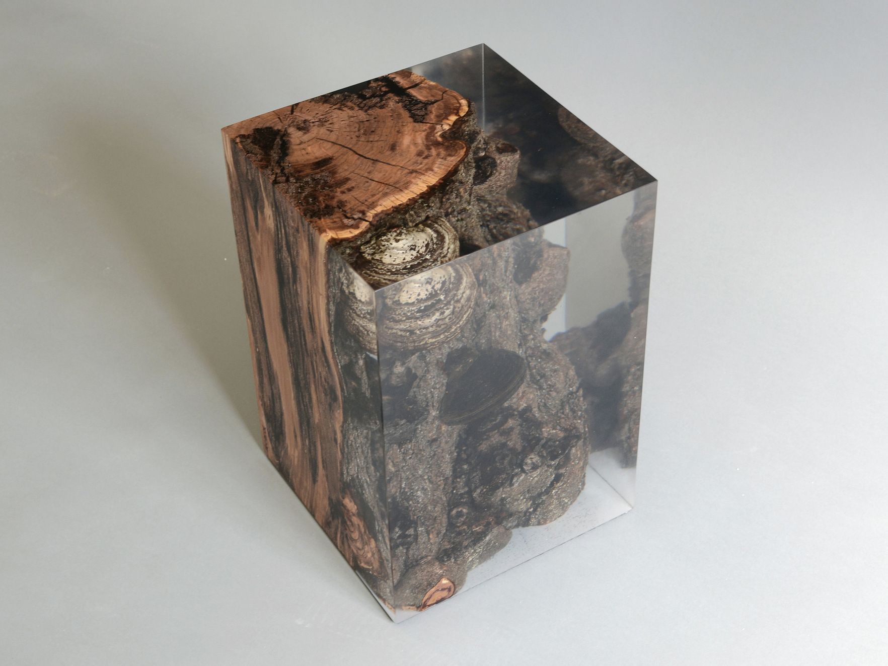 Табурет / журнальный столик alcarol Fungi ARCH-00131901 - Вид №4