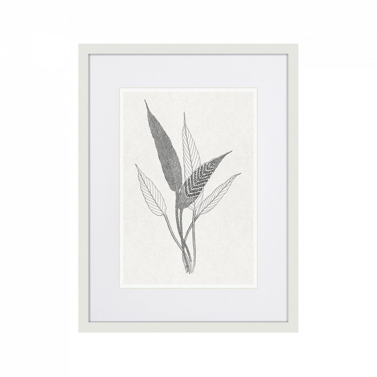 Картина в раме 42х32 см The fern collection №6 КАРТИНЫ В КВАРТИРУ  264465 Серый  - Вид №1