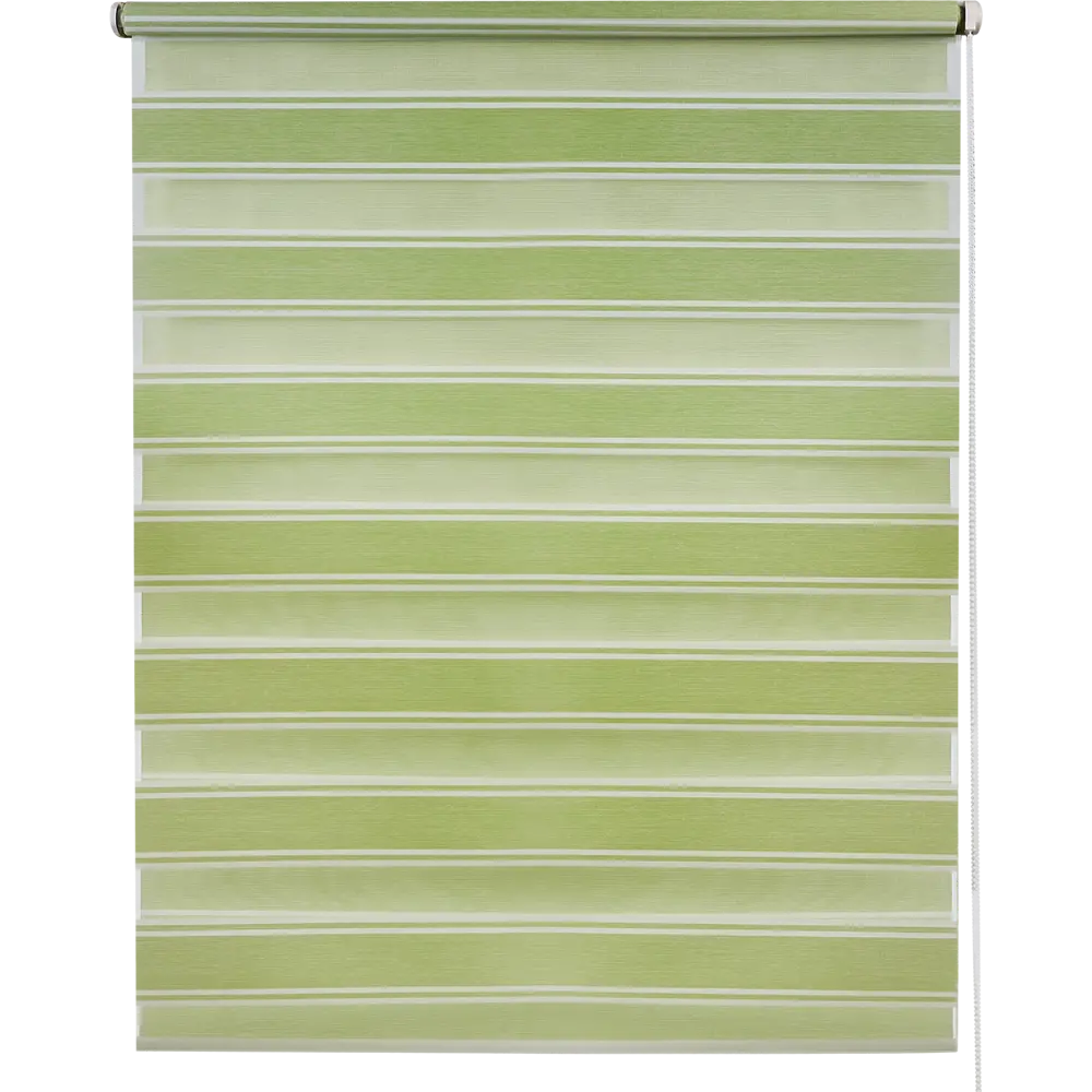 Штора рулонная день-ночь Дэли 70x160 см салатовая MIAMOZA STLM-2039158 - Вид №1