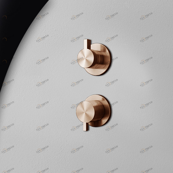 Смеситель для душа розовое золото TOOX Radomonte TXQ5R