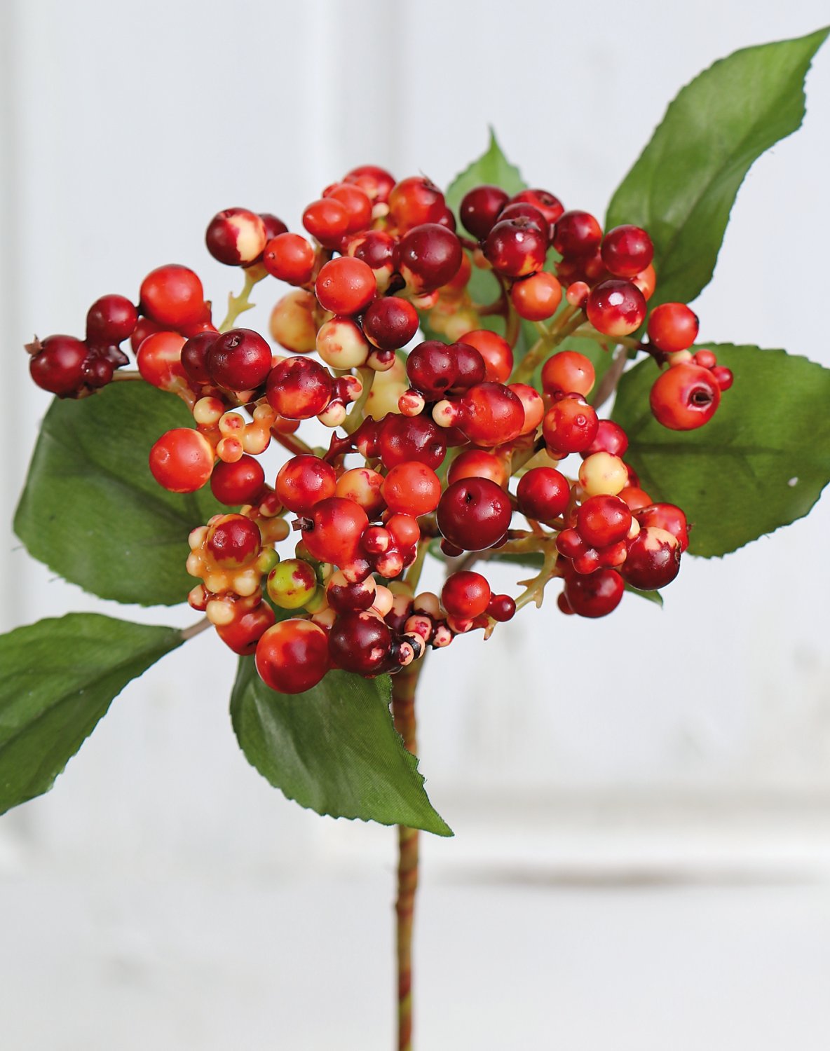 1551 444 a3 Искусственные ягоды на палочке, 30 см, красные H-andreas  - Вид №1