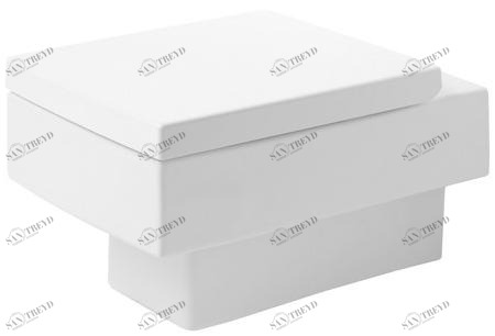 221709 Подвесной унитаз настенный Белый Duravit Vero Германия