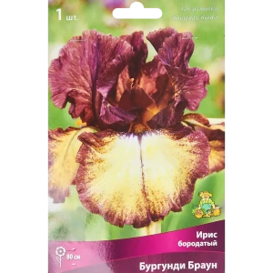 Ирис бородатый Бургунди Браун
