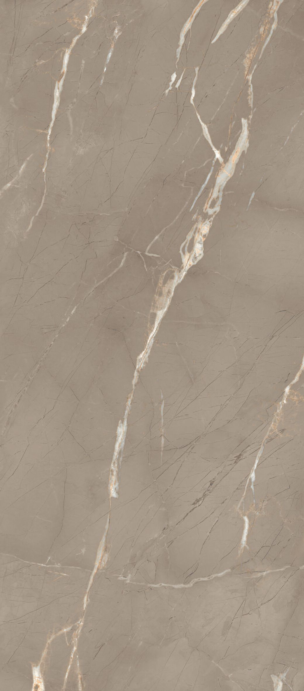 Пол / керамогранит с мраморным эффектом CERAMICA FONDOVALLE Infinito 2.0 ARCH-00081960 - Вид №2