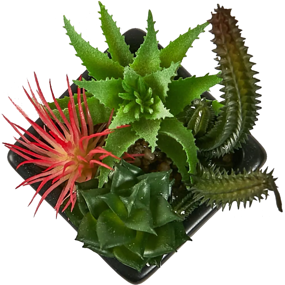 88999730 Искусственное растение Суккулент пластик 17 см STLM-0833326 Santreyd  - Вид №1