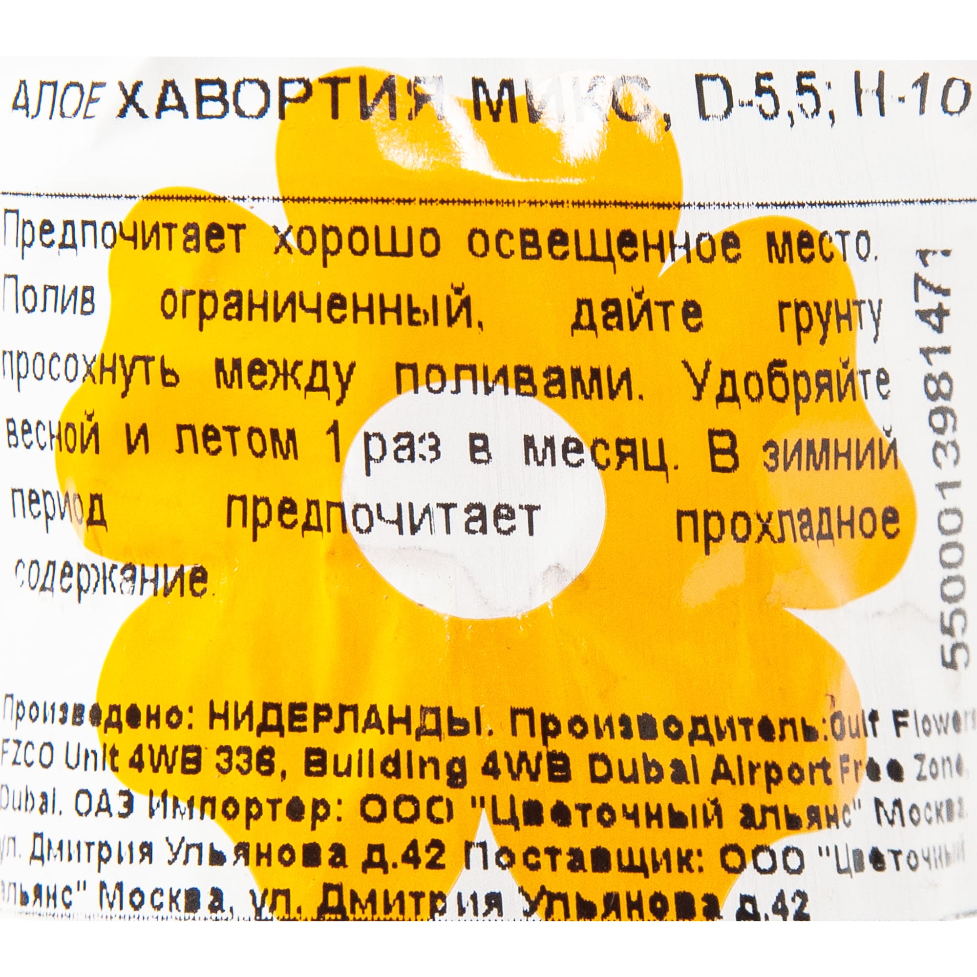 82850438 Алоэ Хавортия микс 5.5х10 см Santreyd  - Вид №2