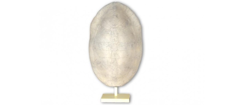 004148 Лампа Turtle Contradiction Santreyd  - Вид №2