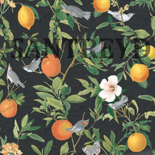 105642 Обои Graham&Brown Curiosity