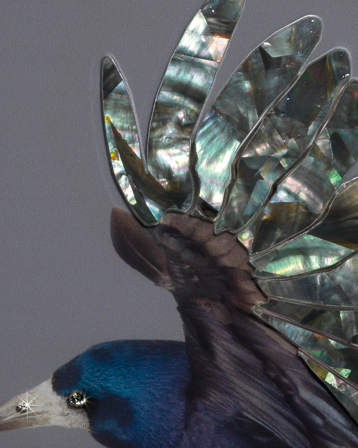 Corvo Смешанная техника Visionnaire  - Вид №2