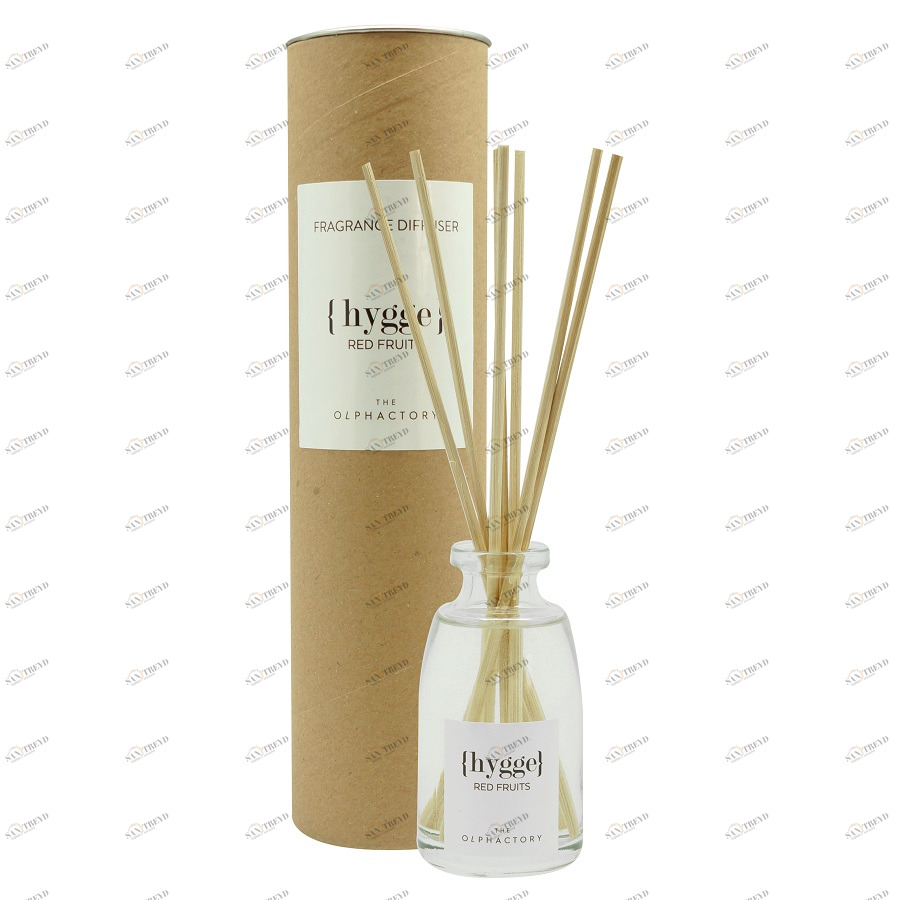 Диффузор ароматический The Olphactory Hugge "Красные ягоды" 100 мл AMBIENTAIR  00-3895010 Серый 