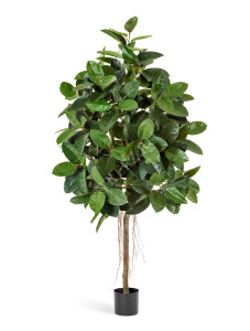 10.33406N Фикус Эластика зелёный Цветочная коллекция