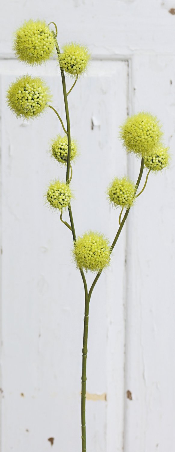 5549 883 a3 Фруктовая ветка gomphocarpus, 60 см, зеленая H-andreas 