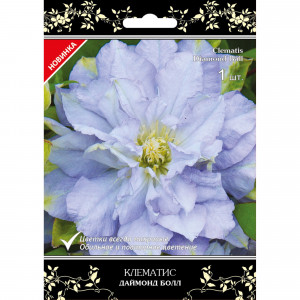 82527434 Клематис крупноцветковый Даймонд Болл в капере