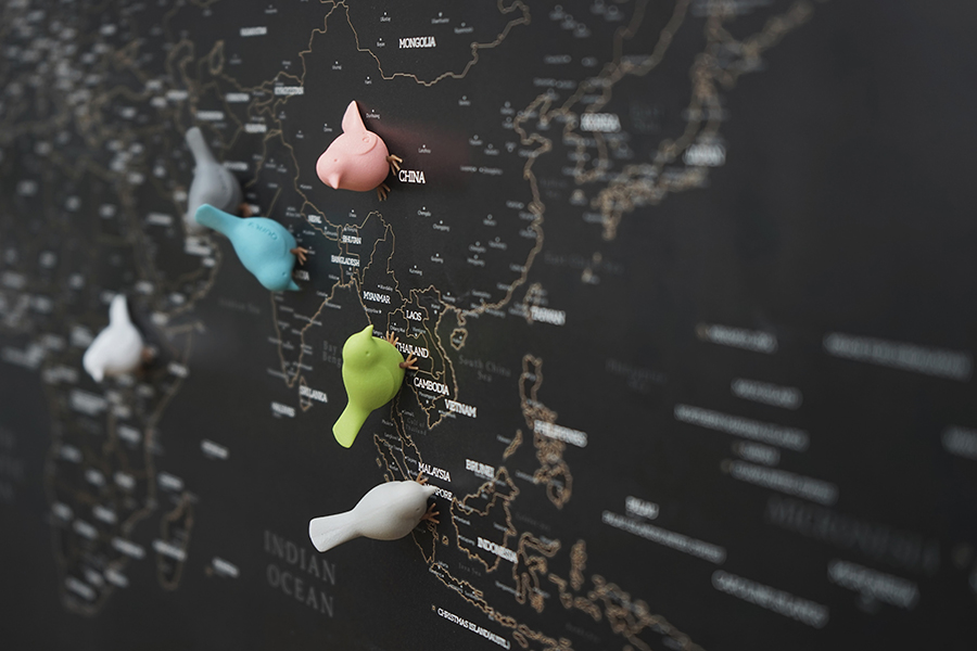 Магниты на холодильник Mini Sparrow, 6 шт Qualy QL10258PT - Вид №3